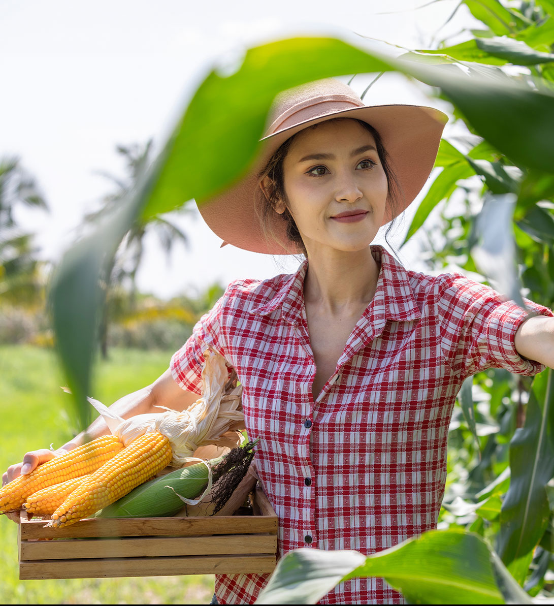 produceimage